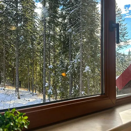 Apartmán Castle Romance - Pamporovo