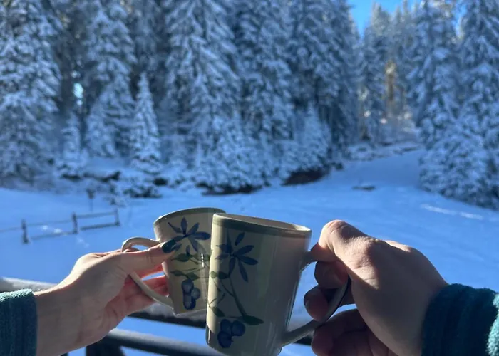 Castle Romance - Appartamento Pamporovo