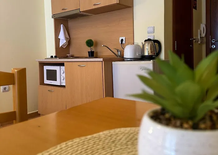 Castle Romance - Appartamento Pamporovo